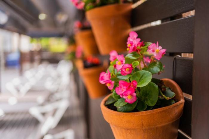 Magnolia Hotel - Adults Only Salou Ngoại thất bức ảnh